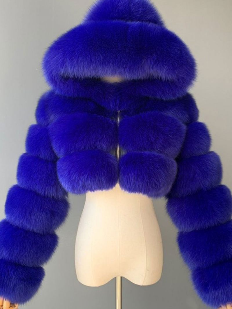 Manteaux Fausse Fourrure Blanche Veste Courte À Capuche Vêtements D'extérieur D'hiver Pour Femmes - Bleu