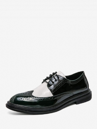 Chaussures Habillées Pour Hommes Élégantes À Bout Rond Avec Sangle Réglable Cuir Pu Lacets Oxford